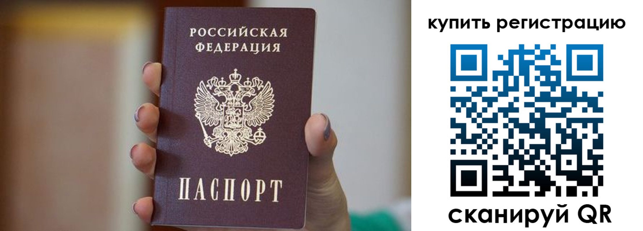 прописка в Курске